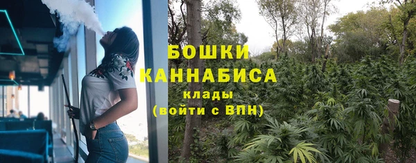 стаф Краснослободск