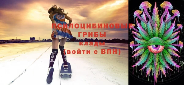 стаф Краснослободск