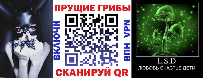 Псилоцибиновые грибы мухоморы  Купить  Верхняя Пышма 